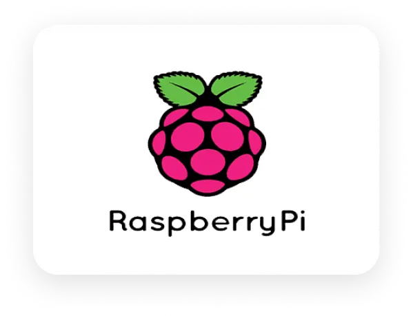 Raspberry Pi icon